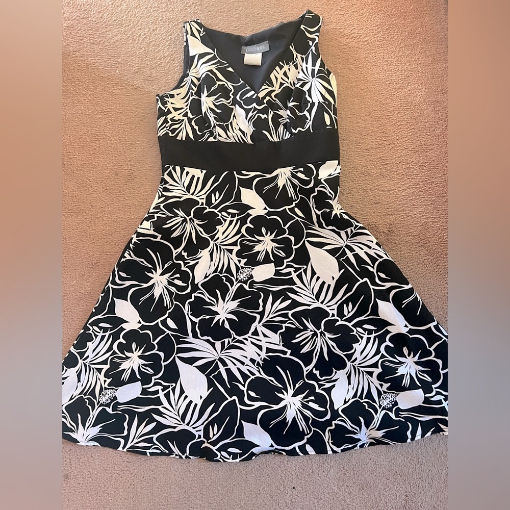 Ladies dress